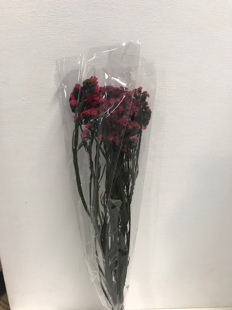 Statice on stem 60gr rood