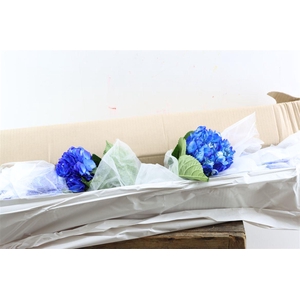 Hydr M Dark Blue Tinted X12