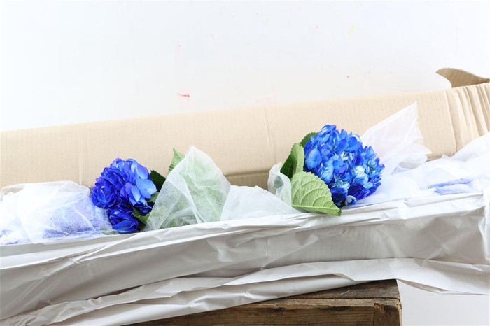 <h4>Hydr M Dark Blue Tinted X12</h4>