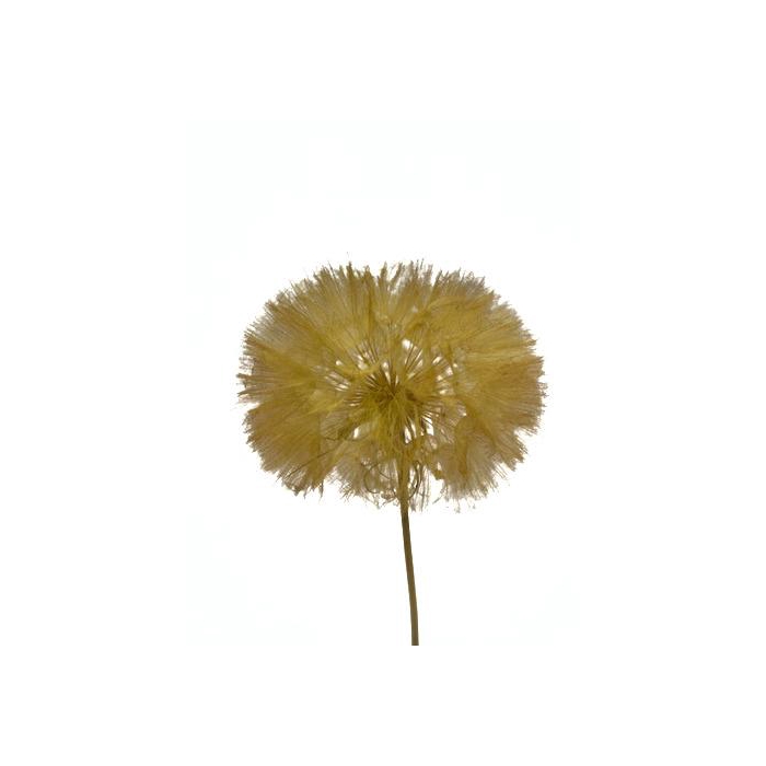 <h4>Dandelion Yellow d12x28h</h4>
