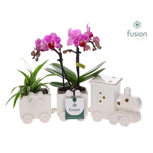 Keramiek Trein Medium met Arrangement