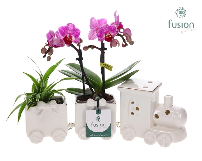 <h4>Keramiek Trein Medium met Arrangement</h4>