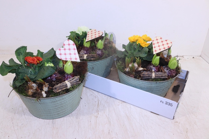 <h4>ARR TUINPLANTEN</h4>