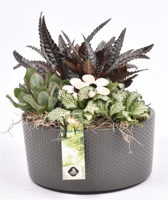 <h4>Keramiek schaal mat groen 18.5 cm</h4>