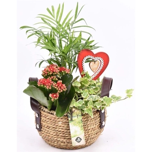 Natuur mand met hengsel 16cm