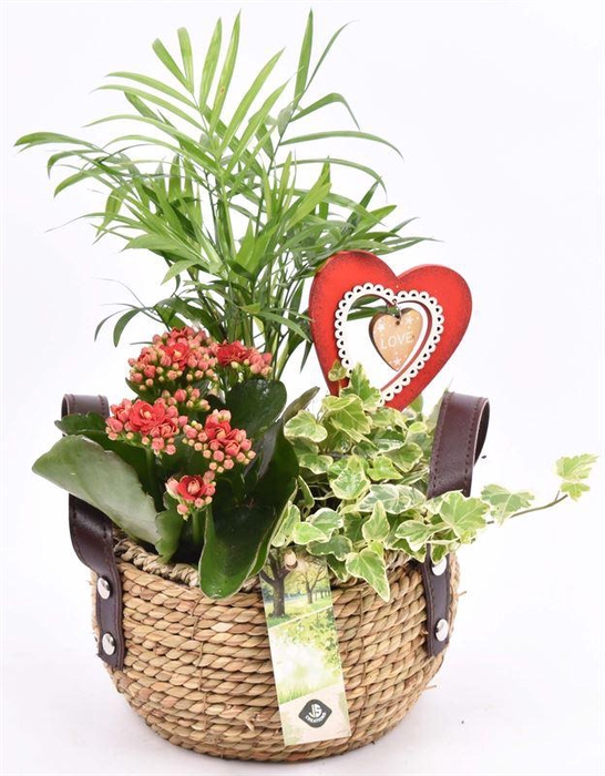 <h4>Natuur mand met hengsel 16cm</h4>