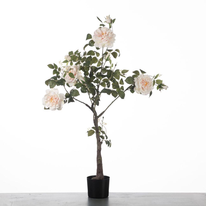 <h4>AF Rosa in pot H115cm L.Pink</h4>