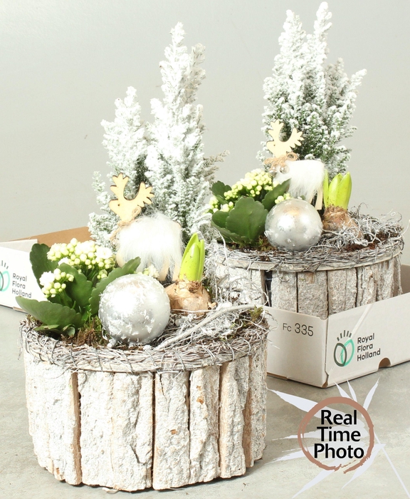 <h4>Arr Kamerpl</h4>