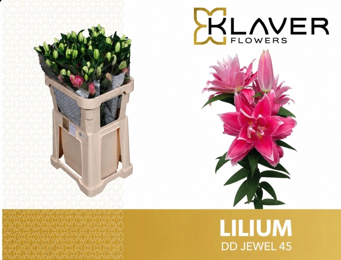 <h4>LI OR DU OVERIG</h4>