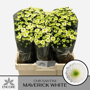 CHR S MAVERICK WHITE