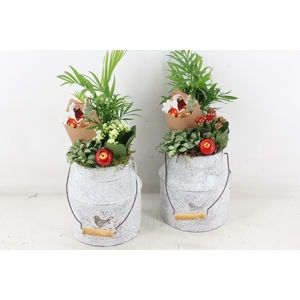 arr2 TD - Zink melkbus - rood/wit