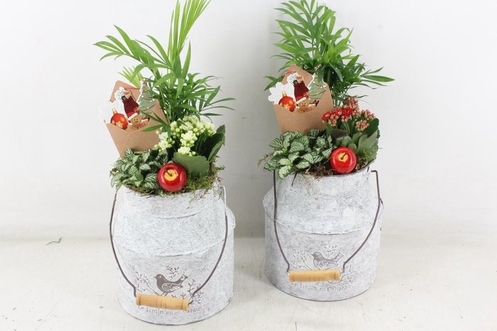 <h4>arr2 TD - Zink melkbus - rood/wit</h4>