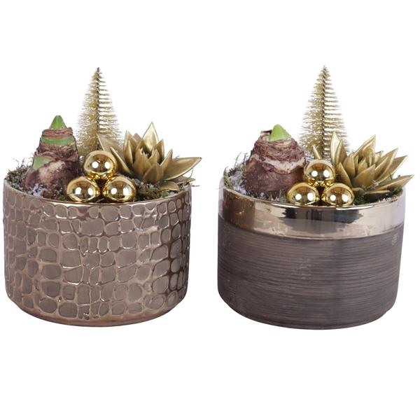 <h4>Christmas Arr. Amaryllis Ceramic Pure Luxury N568 Ø17cm 2PP</h4>