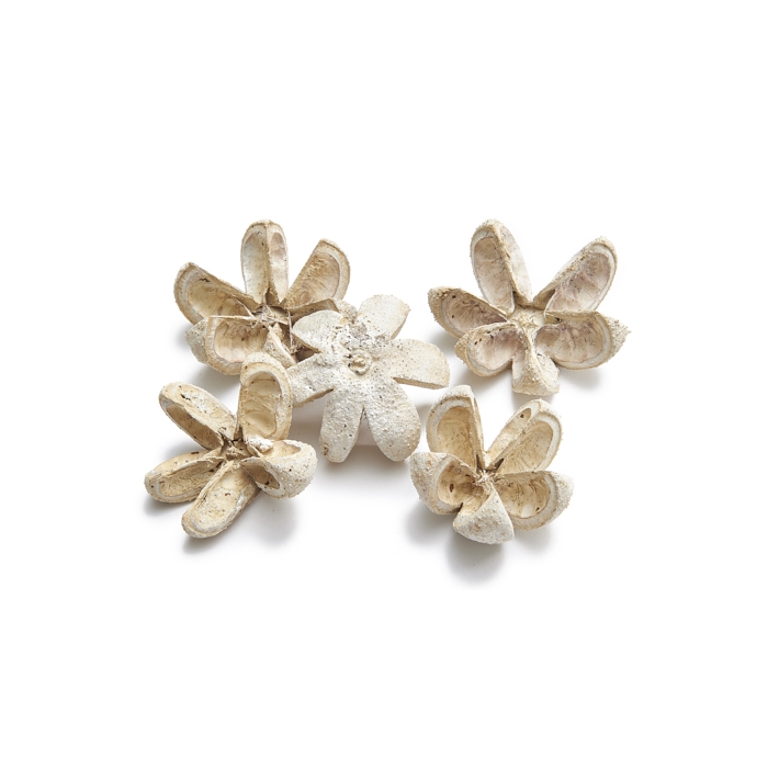 <h4>KARTOOS FROSTED WHITE 15PCS</h4>