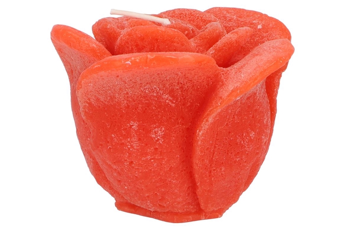 <h4>Candle Roos Orange 14x12cm</h4>