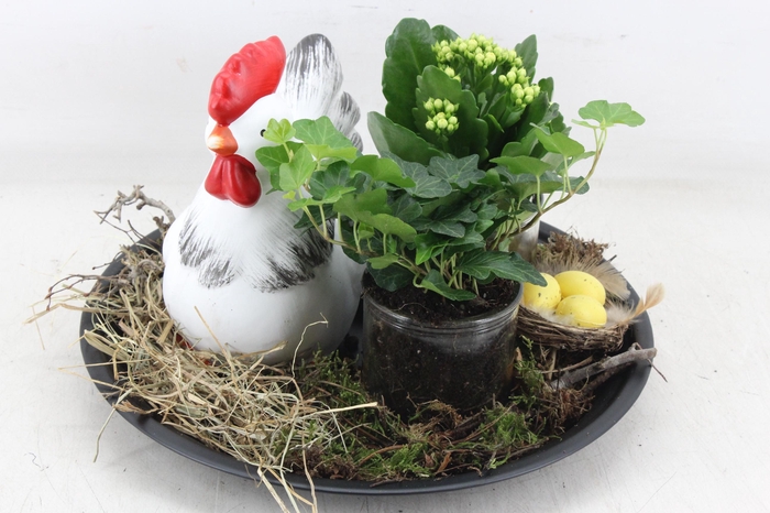 <h4>arr2 MB - Black zink plate chicken</h4>