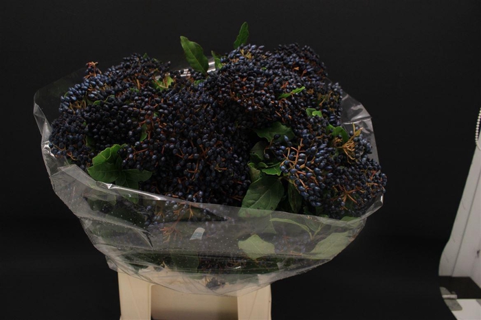 <h4>Vibur Met Bes 400gr</h4>