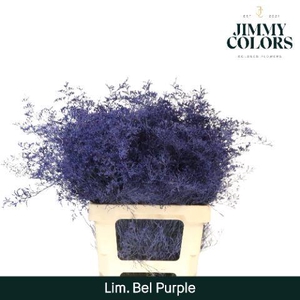 Lim Bel L70 Purple