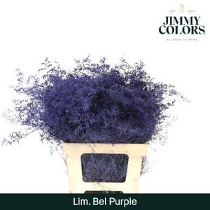 Lim Bel L70 Purple