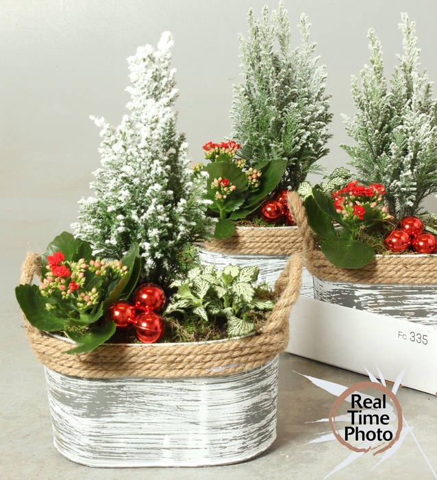 <h4>ARR KAMERPL</h4>