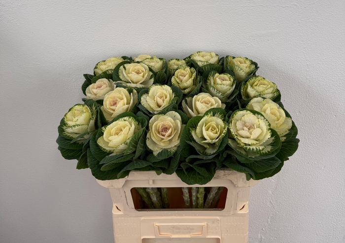 <h4>BRASS WHITE CRANE</h4>