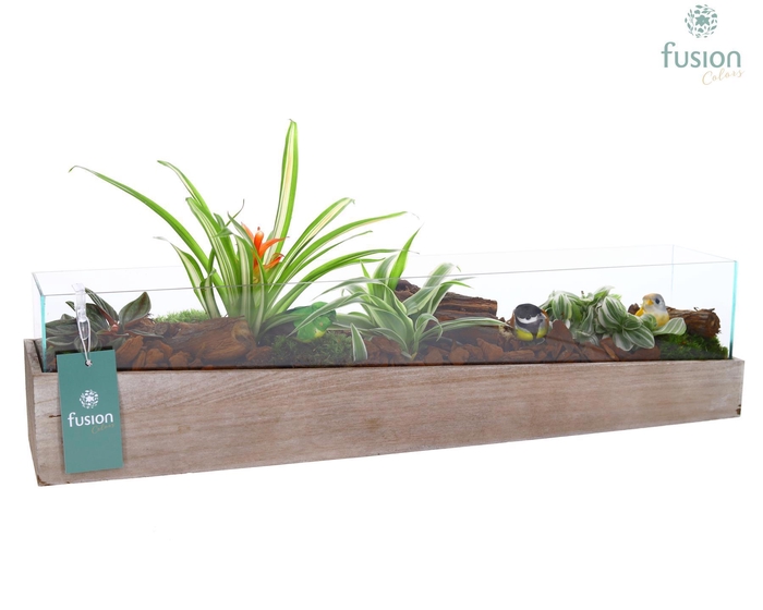 <h4>Aquarium Large met Arrangement</h4>