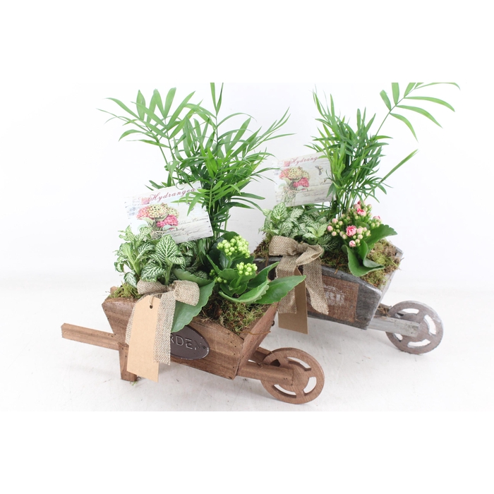 <h4>Arr2 Td - Houten Kruiwagen - Roze/wit</h4>