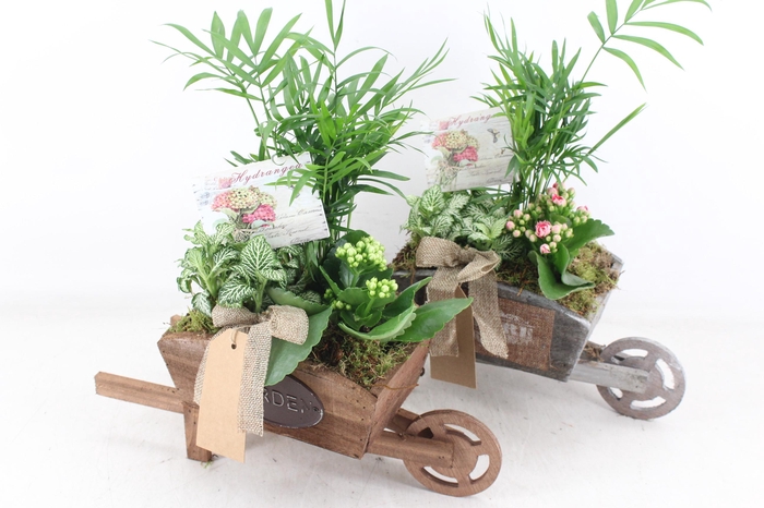 Arr2 Td - Houten Kruiwagen - Roze/wit