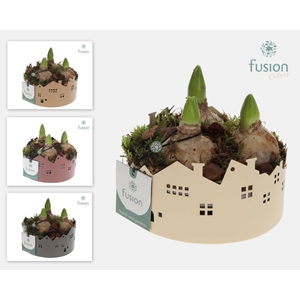 Zinken schaal Huisjes SmallHyacinthus