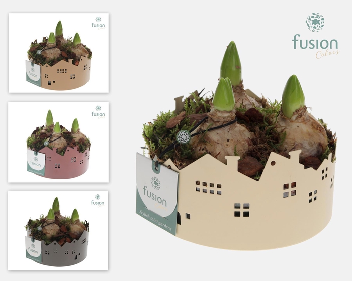 <h4>Zinken schaal Huisjes SmallHyacinthus</h4>