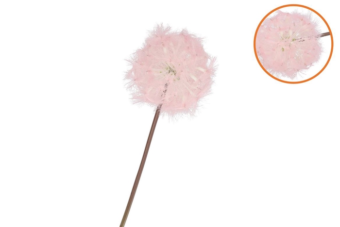 Silk Dandelion Pink 65cm Nm