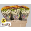 Chr. San Mix Pompon 1100gr
