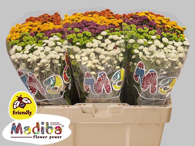 Chr. San Mix Pompon 1100gr