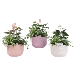 Yearround Arr. Indoor Ceramic Soft Elegance SE660 Ø17cm 3PP
