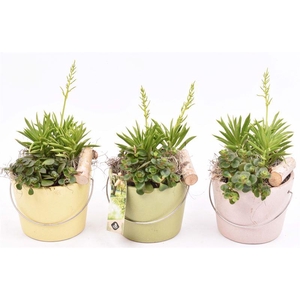 Keramiek Rose Blossom Matte 12cm