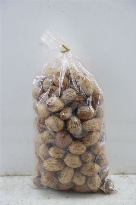 <h4>Amra Nut 500gr Bag (±120pcs)</h4>