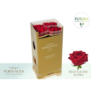 R GR RED NAOMI! SUPRA - Futura 80 - Futura