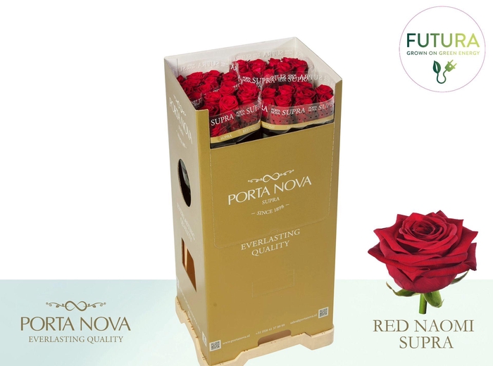 <h4>R GR RED NAOMI! SUPRA - Futura 80 - Futura</h4>