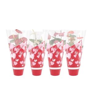 Anthurium 14 cm 4 color mix in Couture hearts sleeve