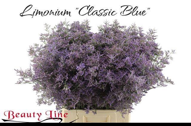 <h4>LIM SAF CLASSIC BLUE</h4>