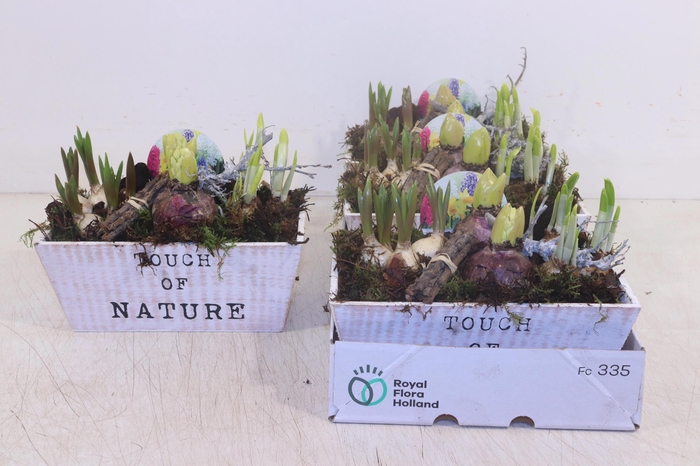 <h4>ARR BOL KNOLGEWAS</h4>