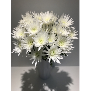 Chr Spray White Carolle