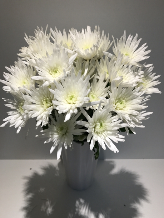Chr Spray White Carolle