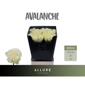 R GR AVALANCHE+ ALLURE