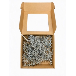 Wax Asparagus Beige P Box