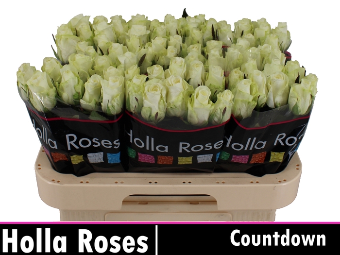 R GR COUNTDOWN!