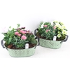 arr4 Outdoor PL - Zink old green ovaal