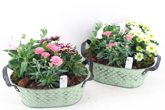 arr4 Outdoor PL - Zink old green ovaal