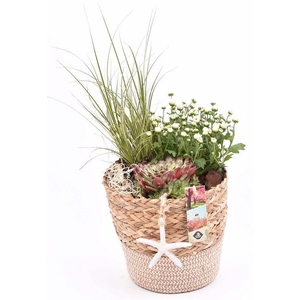 Natuur mand 20cm