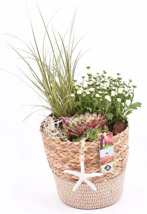 <h4>Natuur mand 20cm</h4>